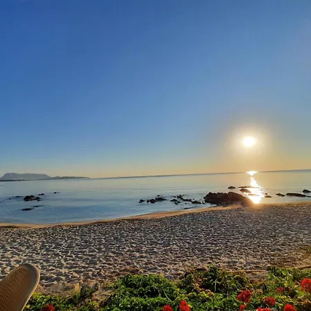 Domo Teodora Hébergement de vacances