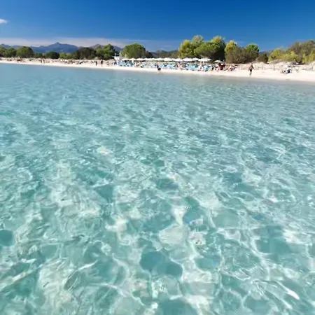 Hébergement de vacances Domo Teodora